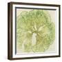 Brilliant Seaweed VIII-null-Framed Art Print