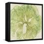 Brilliant Seaweed VIII-null-Framed Stretched Canvas