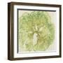 Brilliant Seaweed VIII-null-Framed Art Print