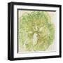 Brilliant Seaweed VIII-null-Framed Art Print