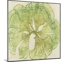 Brilliant Seaweed VIII-null-Mounted Art Print