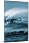 Brilliant Surf 1-Marcus Prime-Mounted Art Print
