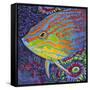 Brilliant Tropical Fish I-Carolee Vitaletti-Framed Stretched Canvas