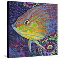 Brilliant Tropical Fish I-Carolee Vitaletti-Stretched Canvas