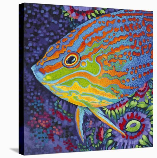 Brilliant Tropical Fish I-Carolee Vitaletti-Stretched Canvas