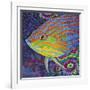 Brilliant Tropical Fish I-Carolee Vitaletti-Framed Art Print