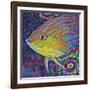 Brilliant Tropical Fish I-Carolee Vitaletti-Framed Art Print