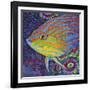 Brilliant Tropical Fish I-Carolee Vitaletti-Framed Art Print