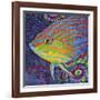 Brilliant Tropical Fish I-Carolee Vitaletti-Framed Art Print