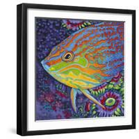 Brilliant Tropical Fish I-Carolee Vitaletti-Framed Art Print