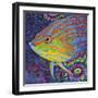 Brilliant Tropical Fish I-Carolee Vitaletti-Framed Art Print