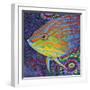 Brilliant Tropical Fish I-Carolee Vitaletti-Framed Art Print