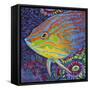 Brilliant Tropical Fish I-Carolee Vitaletti-Framed Stretched Canvas