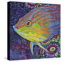 Brilliant Tropical Fish I-Carolee Vitaletti-Stretched Canvas