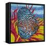 Brilliant Tropical Fish II-Carolee Vitaletti-Framed Stretched Canvas