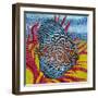 Brilliant Tropical Fish II-Carolee Vitaletti-Framed Art Print