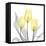 Brilliant Tulips 1-Albert Koetsier-Framed Stretched Canvas