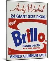 Brillo Box (detail), 1964-Andy Warhol-Mounted Art Print