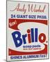 Brillo Box (detail), 1964-Andy Warhol-Mounted Art Print
