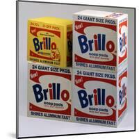 Brillo Boxes, 1963-1964-Andy Warhol-Mounted Art Print