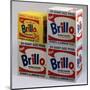 Brillo Boxes, 1963-1964-Andy Warhol-Mounted Art Print