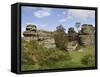 Brimham Rocks, Brimham Moor, Near Ripon, North Yorkshire, England, United Kingdom, Europe-James Emmerson-Framed Stretched Canvas