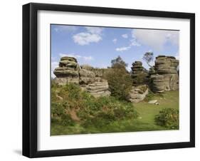 Brimham Rocks, Brimham Moor, Near Ripon, North Yorkshire, England, United Kingdom, Europe-James Emmerson-Framed Premium Photographic Print