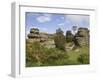 Brimham Rocks, Brimham Moor, Near Ripon, North Yorkshire, England, United Kingdom, Europe-James Emmerson-Framed Premium Photographic Print