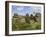 Brimham Rocks, Brimham Moor, Near Ripon, North Yorkshire, England, United Kingdom, Europe-James Emmerson-Framed Photographic Print