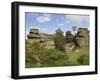 Brimham Rocks, Brimham Moor, Near Ripon, North Yorkshire, England, United Kingdom, Europe-James Emmerson-Framed Photographic Print