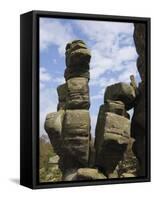 Brimham Rocks, Brimham Moor, Near Ripon, North Yorkshire, England, United Kingdom, Europe-James Emmerson-Framed Stretched Canvas