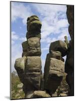 Brimham Rocks, Brimham Moor, Near Ripon, North Yorkshire, England, United Kingdom, Europe-James Emmerson-Mounted Photographic Print