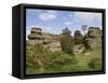 Brimham Rocks, Brimham Moor, Near Ripon, North Yorkshire, England, United Kingdom, Europe-James Emmerson-Framed Stretched Canvas