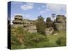 Brimham Rocks, Brimham Moor, Near Ripon, North Yorkshire, England, United Kingdom, Europe-James Emmerson-Stretched Canvas