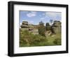 Brimham Rocks, Brimham Moor, Near Ripon, North Yorkshire, England, United Kingdom, Europe-James Emmerson-Framed Photographic Print