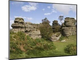 Brimham Rocks, Brimham Moor, Near Ripon, North Yorkshire, England, United Kingdom, Europe-James Emmerson-Mounted Photographic Print