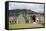 Brimstone Hill Fortress, St. Kitts, St. Kitts and Nevis-Robert Harding-Framed Stretched Canvas