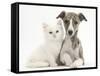 Brindle-And-White Whippet Puppy, 9 Weeks, with White Maine Coon-Cross Kitten-Mark Taylor-Framed Stretched Canvas