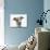Brindle-And-White Whippet Puppy, 9 Weeks-Mark Taylor-Photographic Print displayed on a wall