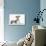 Brindle-And-White Whippet Puppy, 9 Weeks-Mark Taylor-Photographic Print displayed on a wall