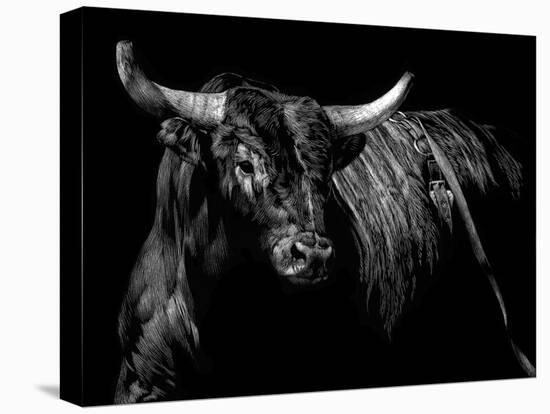 Brindle Rodeo Bull-Julie Chapman-Stretched Canvas