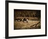 Bring the Horses Home-Jim Tunell-Framed Giclee Print