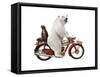 Bringing Home Dinner #1-J Hovenstine Studios-Framed Stretched Canvas