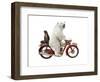 Bringing Home Dinner #1-J Hovenstine Studios-Framed Giclee Print