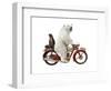 Bringing Home Dinner #1-J Hovenstine Studios-Framed Giclee Print