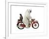 Bringing Home Dinner #1-J Hovenstine Studios-Framed Giclee Print