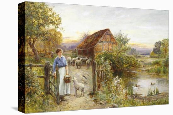 Bringing Home the Sheep-Ernest Walbourn-Stretched Canvas