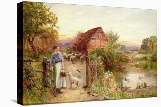 Bringing Home the Sheep-Ernest Walbourn-Stretched Canvas