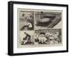 Bringing Home Turtles on Board HMS Jumna-John Charles Dollman-Framed Giclee Print