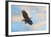 Bringing in the Leftovers-Jai Johnson-Framed Giclee Print